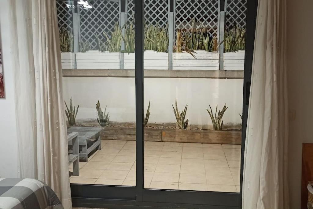 Atico En Paiporta Con 2 Grandes Terrazas Apartment Valencia Ngoại thất bức ảnh